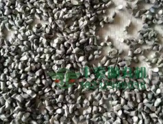 钢丝切丸